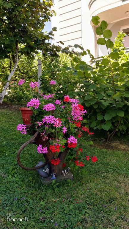 Apartment Mirjana Banyaluka Dış mekan fotoğraf