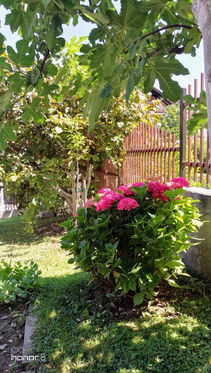Apartment Mirjana Banyaluka Dış mekan fotoğraf